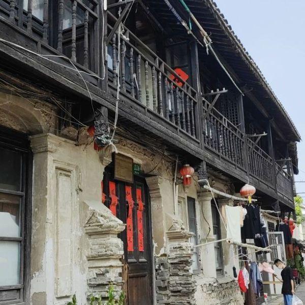 拯救小萌虎
